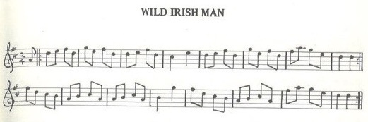 scanned sheet music for Wild Irish Man